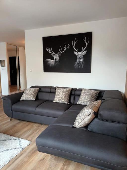 Appt Centre Gérardmer Екстериор снимка